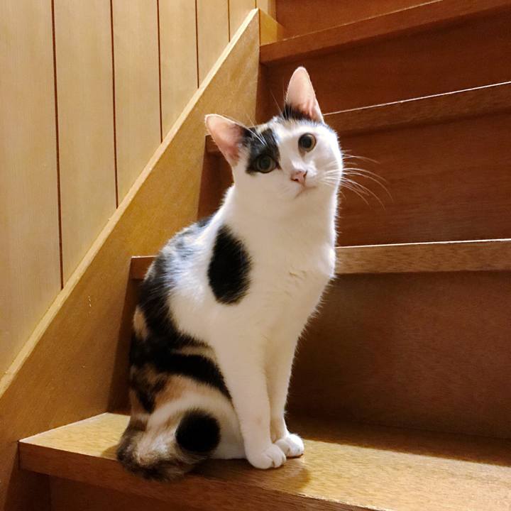 4eec1b25 8518 450b aa41 c4cf72a696d8 1507768945134