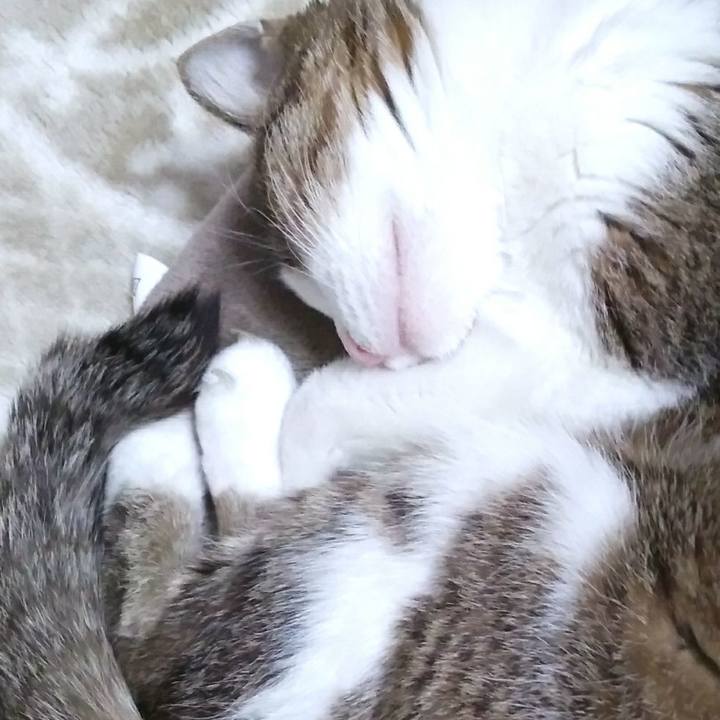 4eec1c34 e896 48a0 9cdc f4f94efa917d 1550495141972