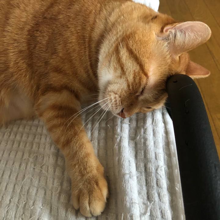 4eec44d3 13f8 42d7 840a 7f977e1a0292 1653337459306