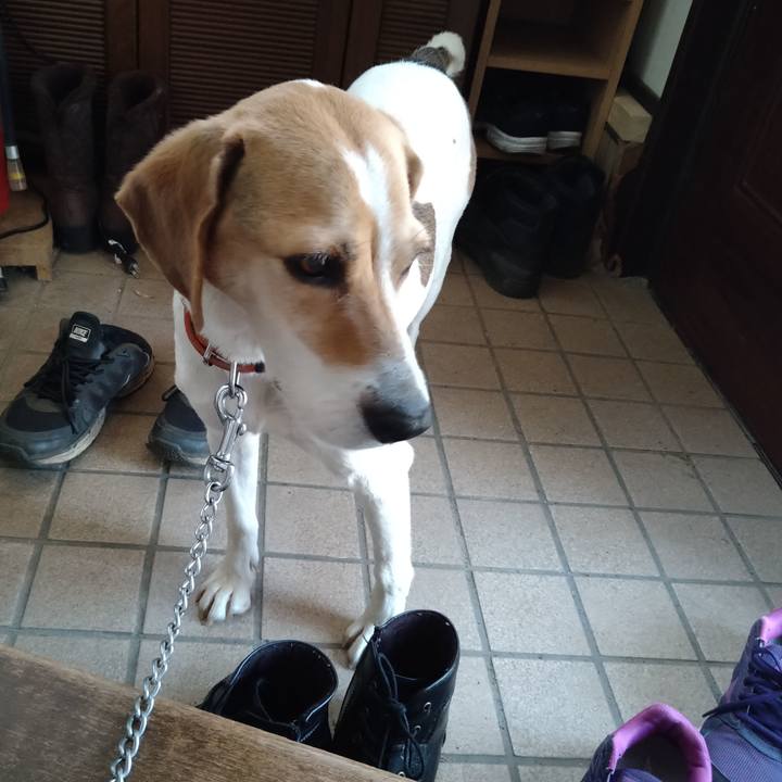 4eec49b2 bc3a 4f28 be8c c7b26016048c 1622608492332