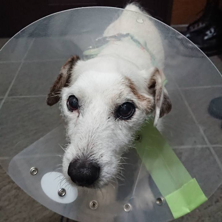 4eec5275 330e 4d6d a82f 5f489ae1971f 1605531886216