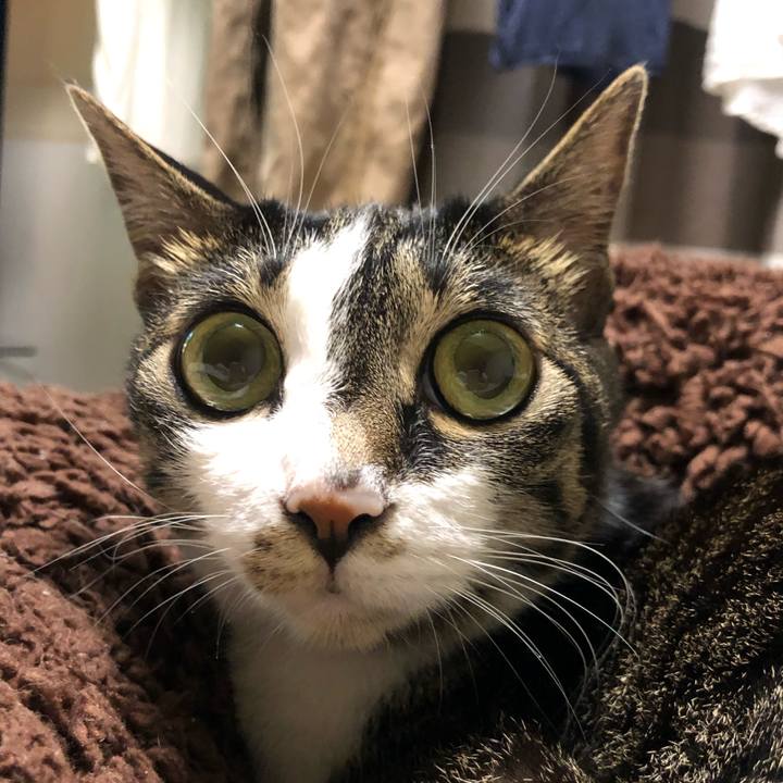 4eec5b40 1140 4c8a 9ea9 0148e9488c3e 1624976915071