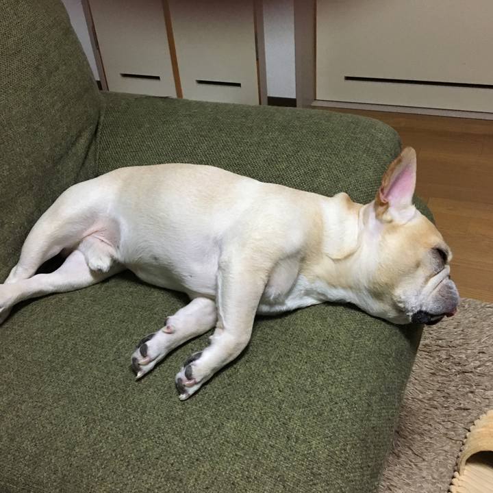 4eec5de6 dd53 484e 8ac0 f42eb2c333a4 1510838665265