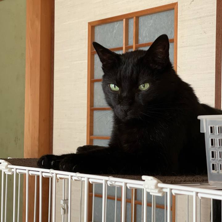 4eec5e01 1ba0 4cf5 b897 59414741b5cf 1627517165131