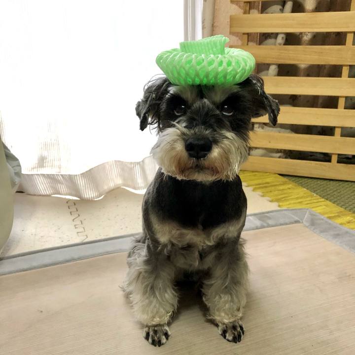 4eec8703 6695 4544 93da 39b555e1300f 1647243084470