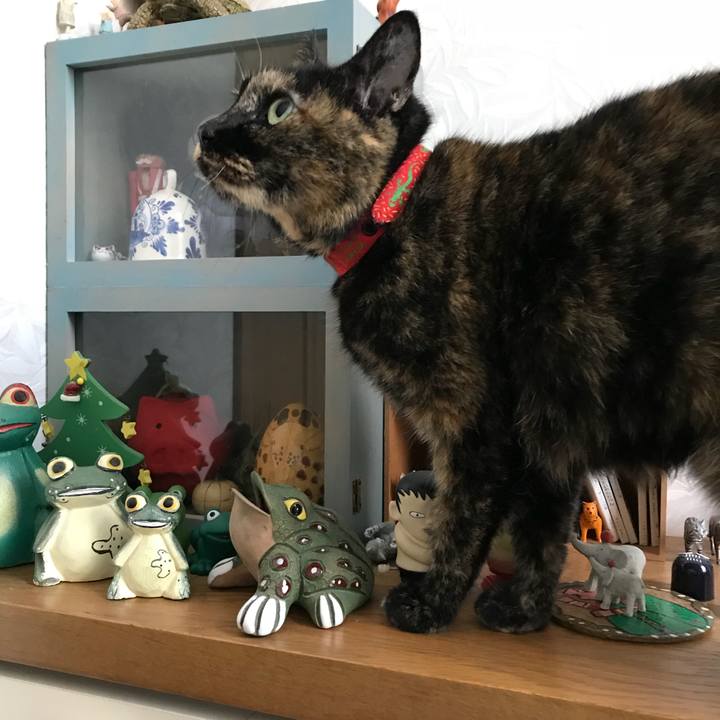 4eecb2e5 7aca 493b 974a 0fc356e94ef2 1518327647014