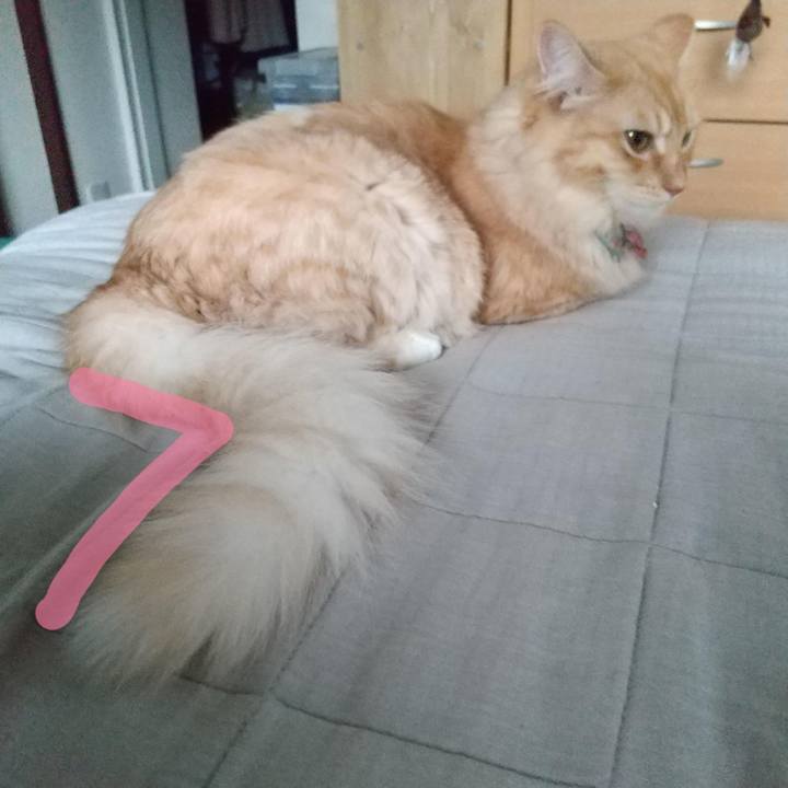 4eed0ee4 ef9c 4917 b33b f86ebc2dfc0d 1686127299091