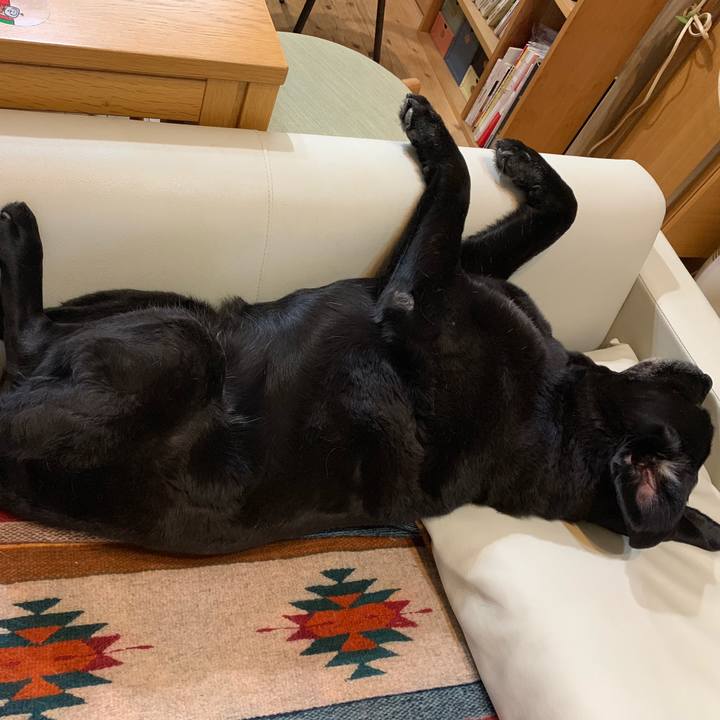 4eed8b1d c567 4b4b a462 9503b5b422ec 1565611659865