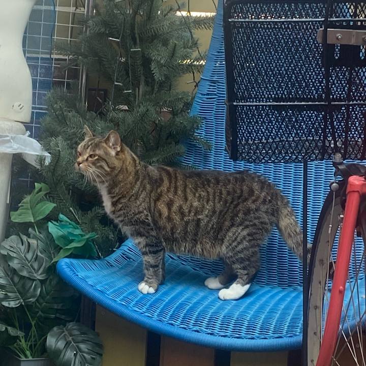 4eeda4b7 bee2 4cdf a412 79c99a991319 1749350421664