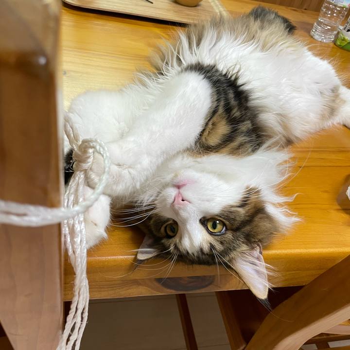 4eedad61 a5d2 42eb 8b11 18c698b25ef9 1643278112039