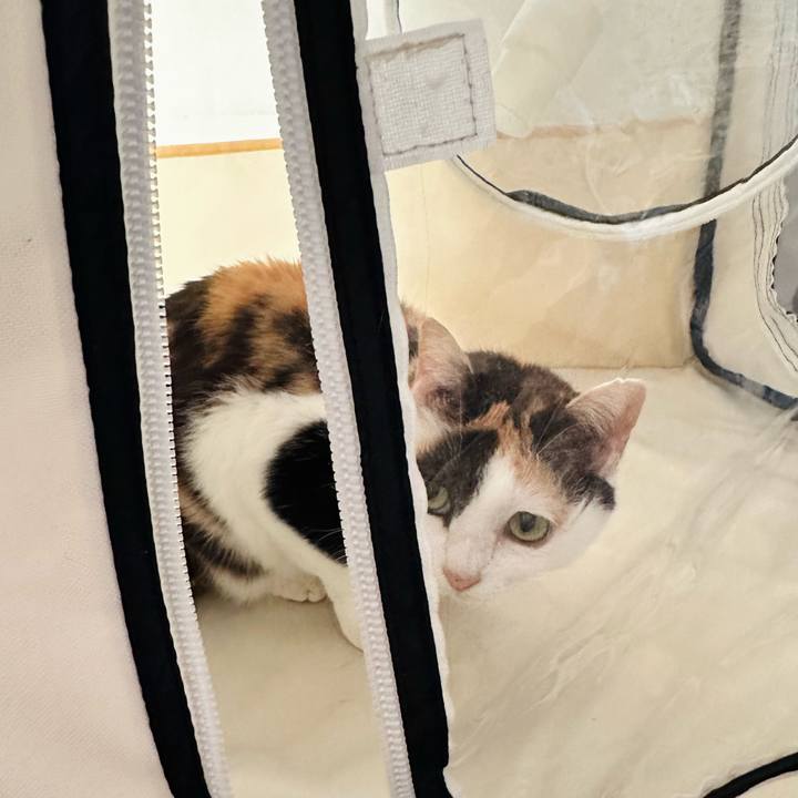 4eedb4b5 16ca 40bb 8b4f 3751d465da99 1712711944259