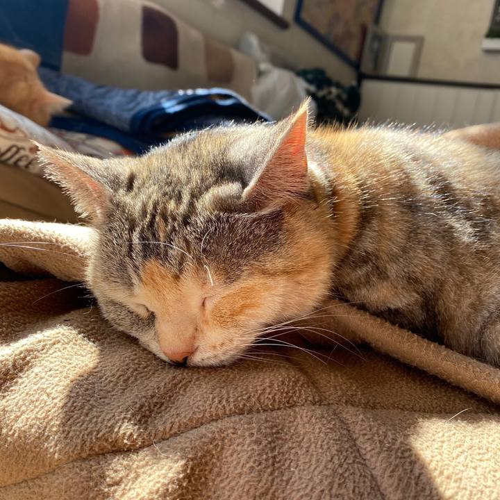 4eedc861 8f13 42d4 8748 893bca97aaa3 1583208397416