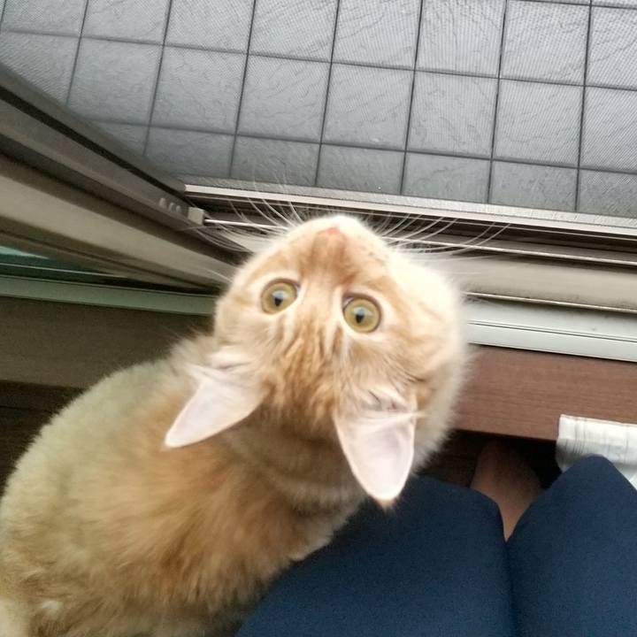 4eedd12e c72e 4046 bae2 b0a1ba6a52b8 1629195573877