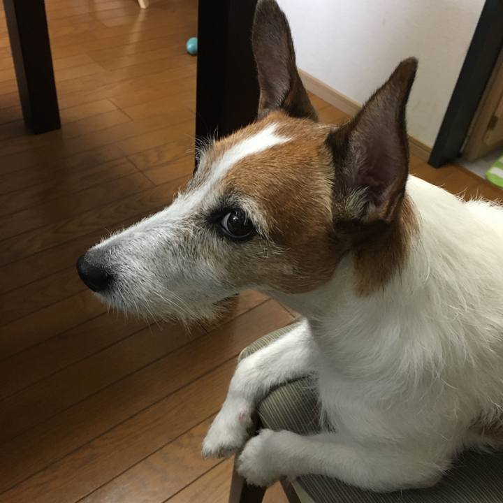 4eedde18 806f 4299 ba71 0f7b6074b498 1594856467069