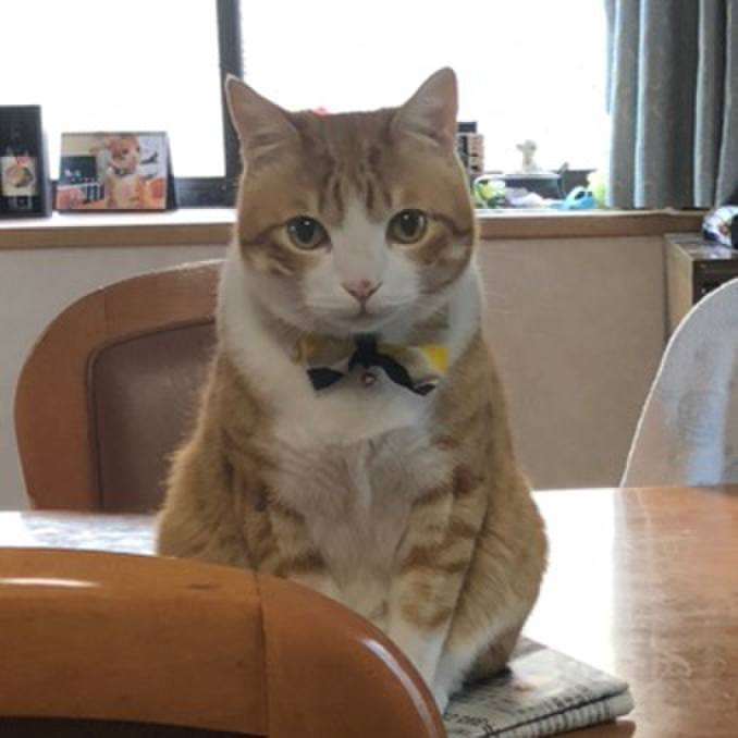 4eee24f3 c849 42e2 86e1 fb8dd49be9c1 1558648408422