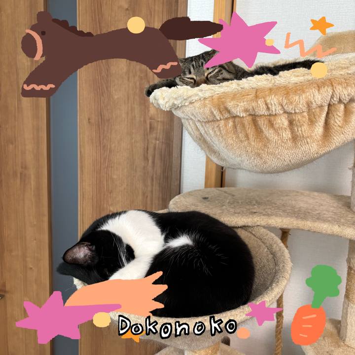 4eee7a36 1d10 4d78 b5df 3b95ae9e1255 1772071403234