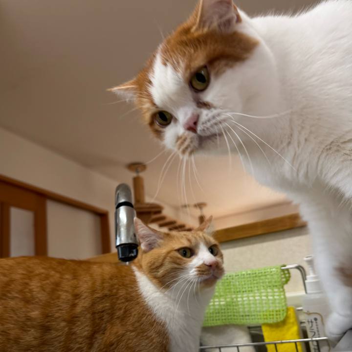 4eee8880 7852 49a5 946d 9e53972bd1cd 1761705138333