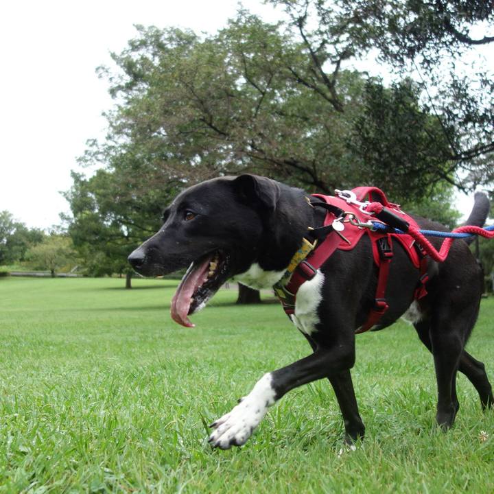 4eee9ac3 58f2 49fb a237 81d7aff9bb60 1599866901077