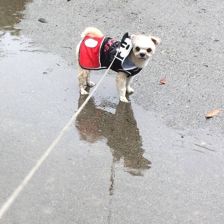 4eeec4e6 eeb2 4e8c aaec 97adcea96fee 1563280651384