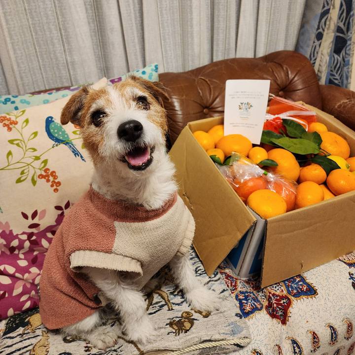 4eeec4e7 3ea8 4992 b2c2 e3b99cabf33d 1734356389614