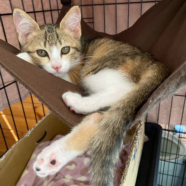 4eeec82b 1fd5 4a5b 9cb8 824643585911 1751695900642