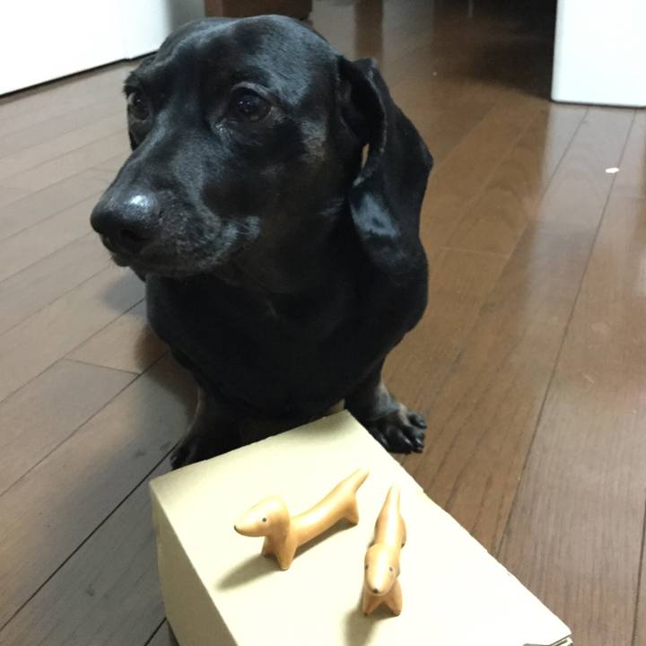 4eeecd18 6940 4fd9 9269 93b3d9296af2 1529035018755
