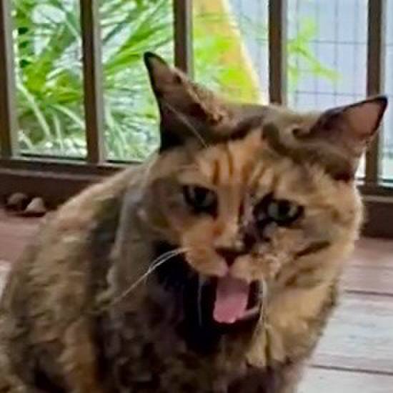 4eef2b44 e1b5 4d3f 9242 0c1d663ff10d 1756987312247