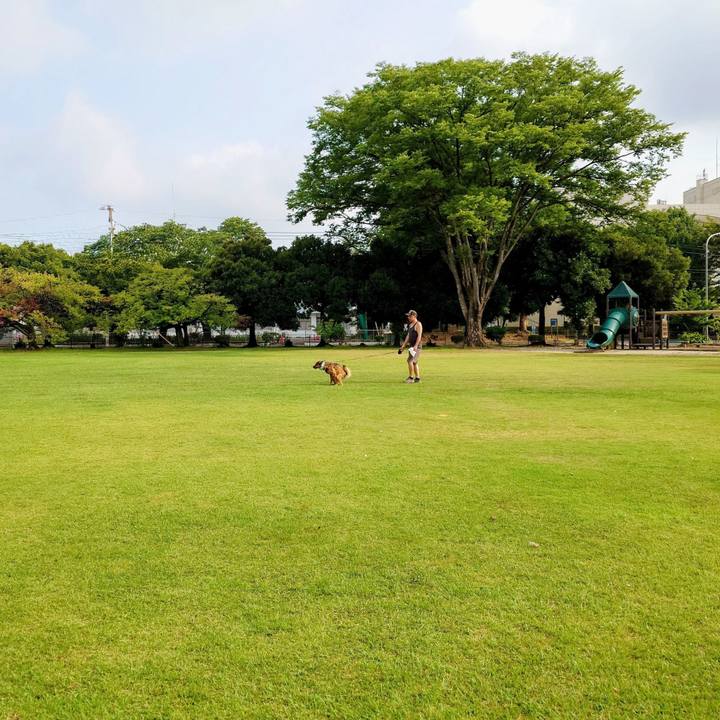 4eef3470 7275 48a5 82b1 5de21c0ef694 1754281696547