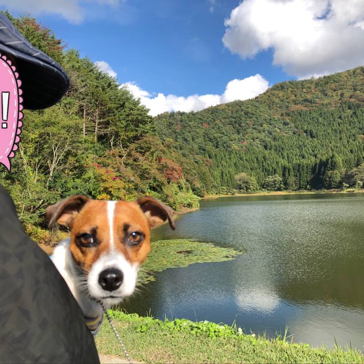 4eef5a6b 2278 4cfc 8197 a38a21111478 1571822400126