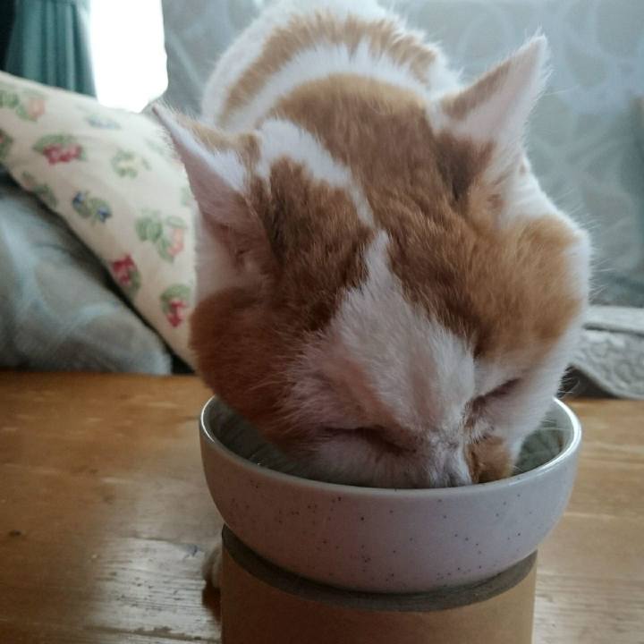 4eef832f 05bc 49b5 9a98 9cbdef67ba68 1566367862226