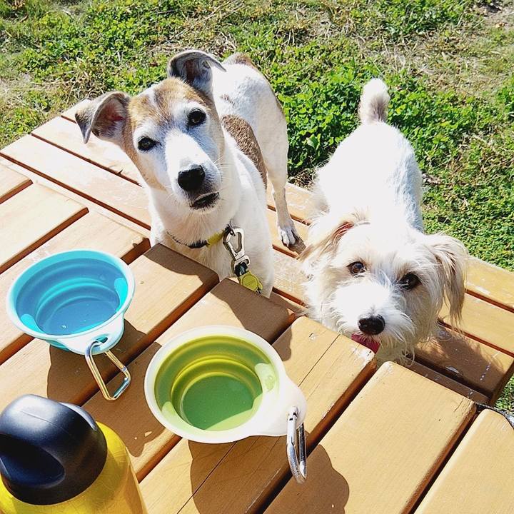 4eefb341 1479 487a b152 1ac3f92e9616 1573355642348