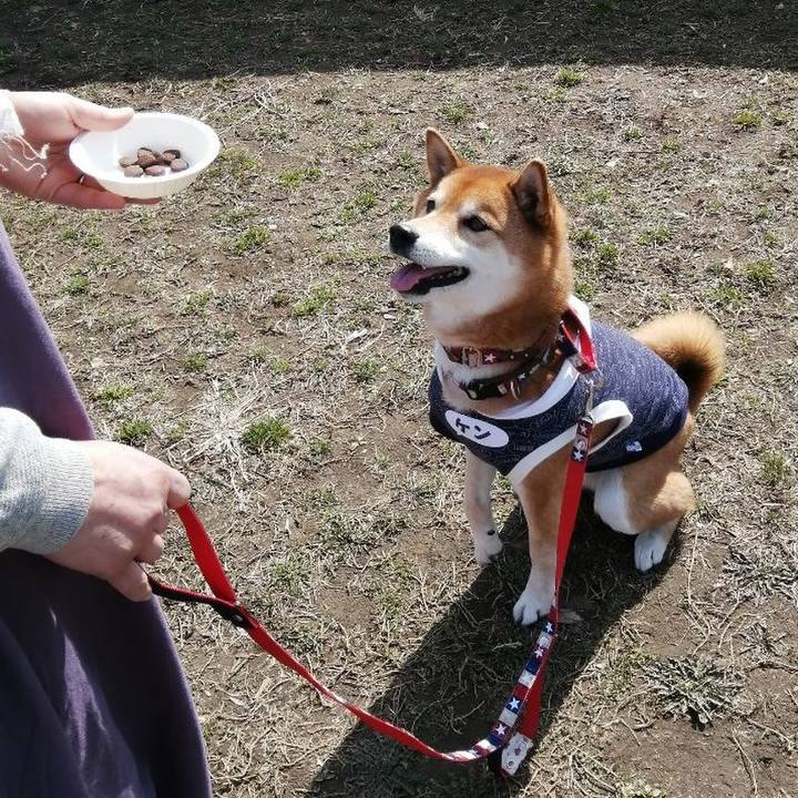 4eefc22d 3010 4652 b64b f08ee2e54ead 1646491172037