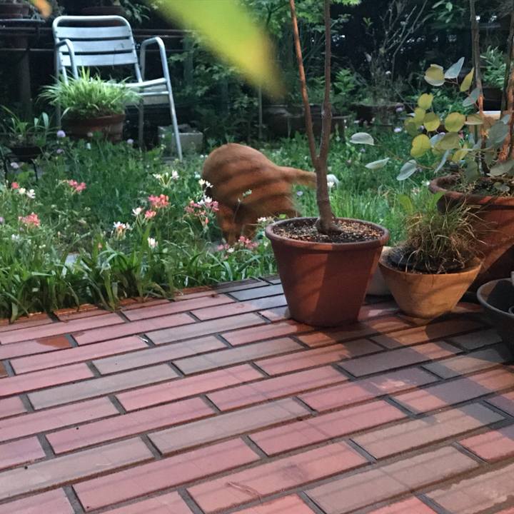 4eefced9 05ed 4725 b1db 7b817c5b677f 1620397841233