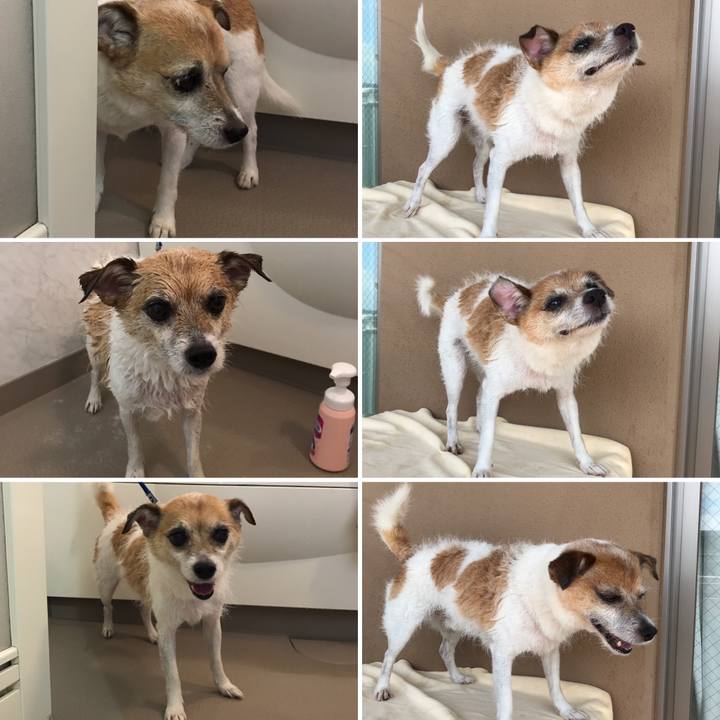 4eefd26d 87ef 456d ac97 b387899082aa 1626577219920