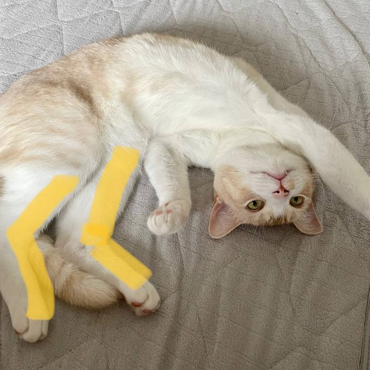 4eefd3ee 6f0b 4e22 9294 007bdc04d9b1 1687492411940