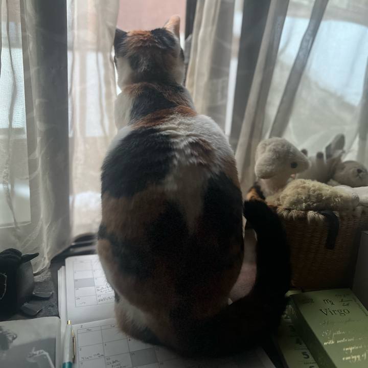 4eefed23 4f31 4a13 9c51 8295a90d4853 1770673759991