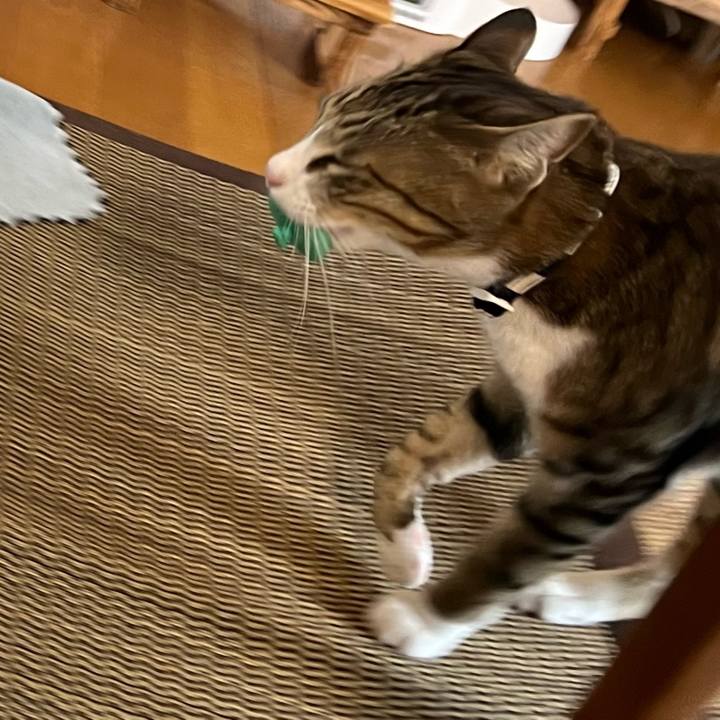 4eeff27e 4345 43ac bdfe 5e89afc1a6c7 1725879462885