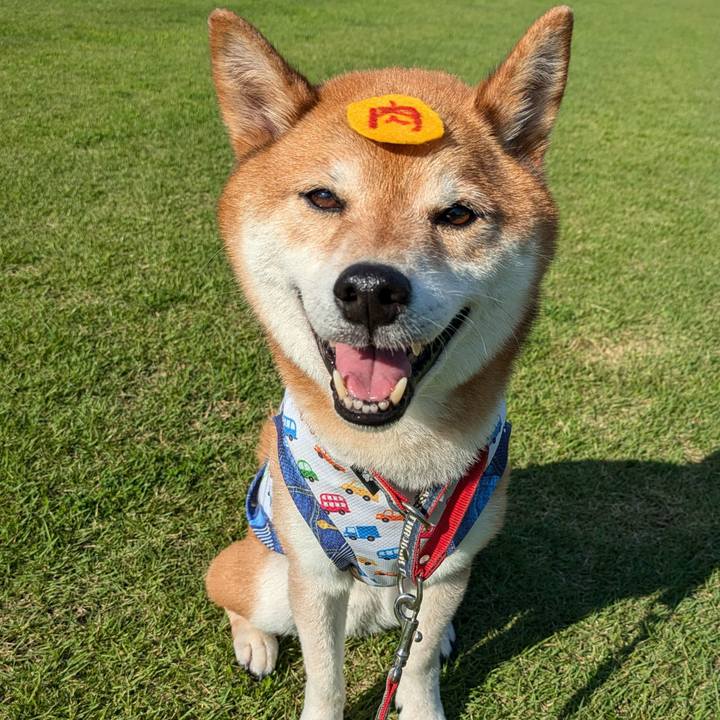 4ef0079c ad3f 4d29 99e1 b503a45fdee5 1719648134957