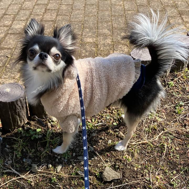 4ef01ce7 354e 44c5 a33b 4316c752b114 1644576011630