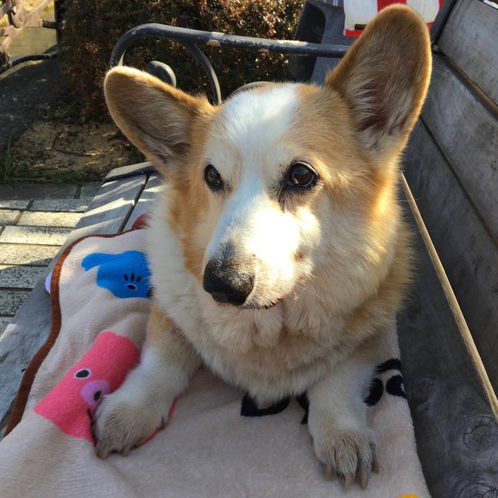 4ef05ec4 e884 4dfe bbd6 e229e0c2c0a1 1635294779827