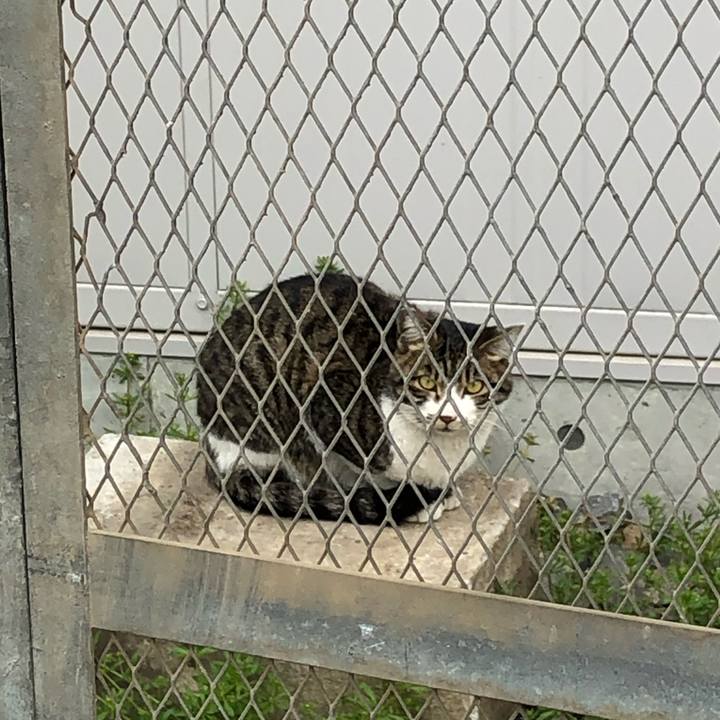 4ef09a26 8764 47b7 affc f3a2afcdb4a0 1555085182332