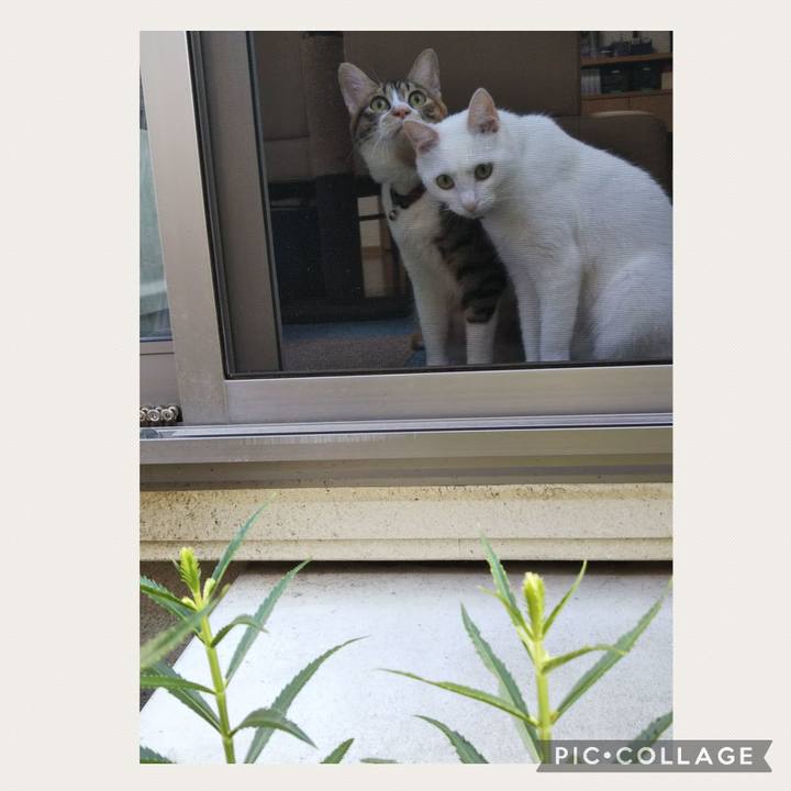 4ef09e4e e94e 4661 b60d 3974d70eebda 1660095269608