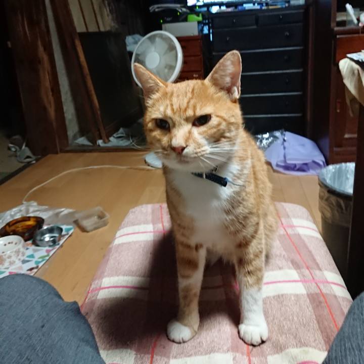 4ef0b21c bf6a 4267 be3b 2ef1ec9f96a0 1600808878250