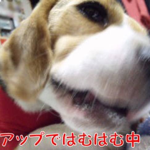 4ef0bc72 34d5 483b a6fc 84bf340aad6f 1723249942536