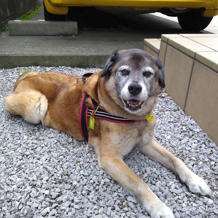 4ef0d156 dbe6 4981 bb7c 6d6ed50df141 1562283956970