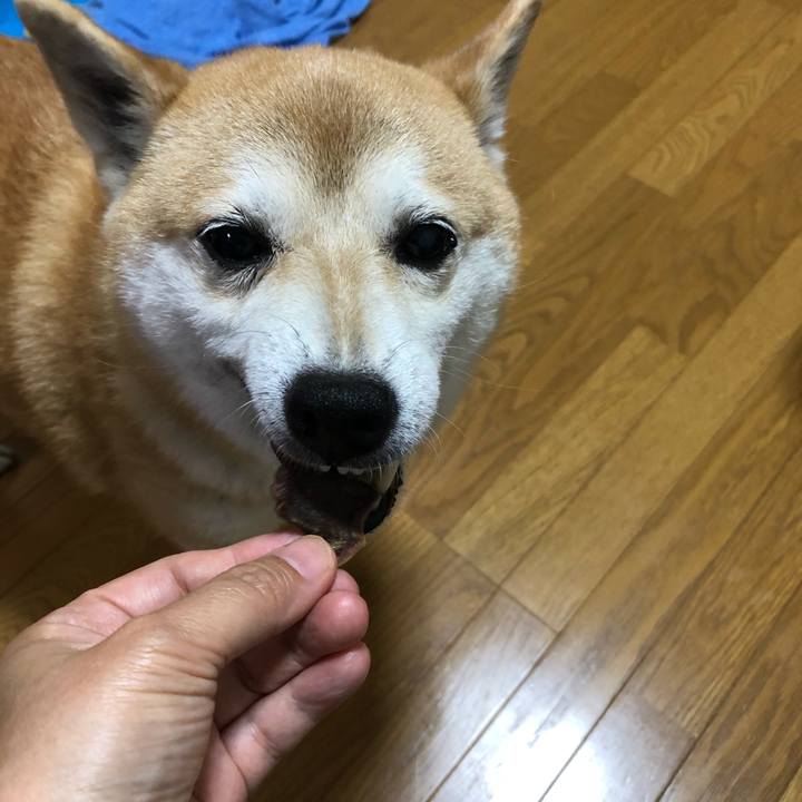 4ef0e283 4d4b 4ec1 aae7 98da3433c7cb 1594297331692