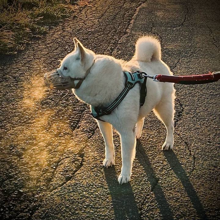 4ef11a72 eac3 49f1 be46 cc3f45d4c9de 1698100350694