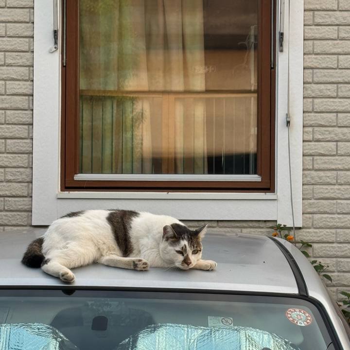 4ef16020 225d 419a 81a5 b3b7325069aa 1756763488123