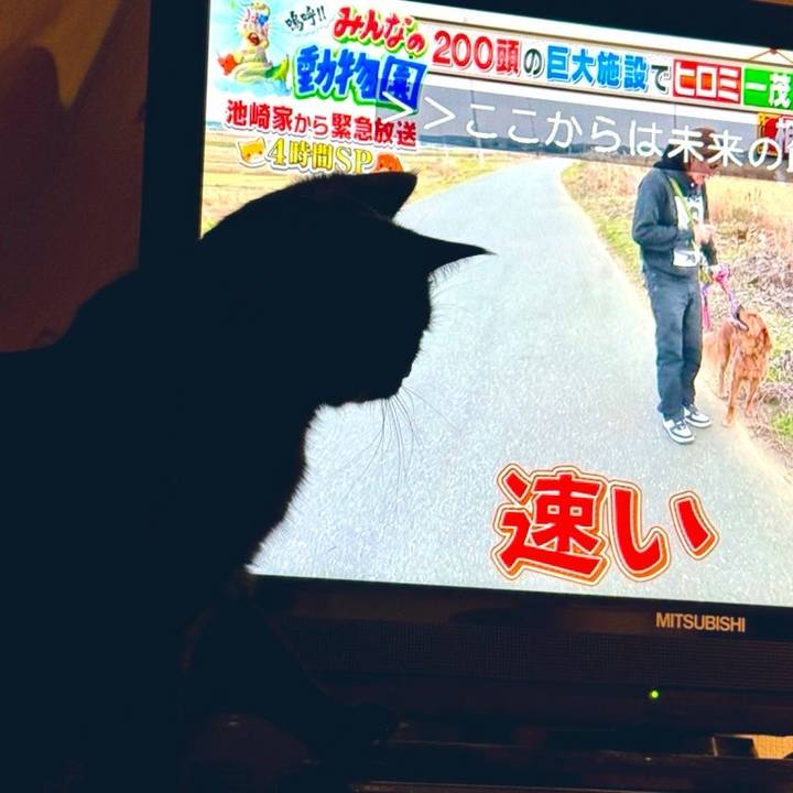 4ef167a1 83d9 422c 9de5 fb02c099ffad 1766878102067