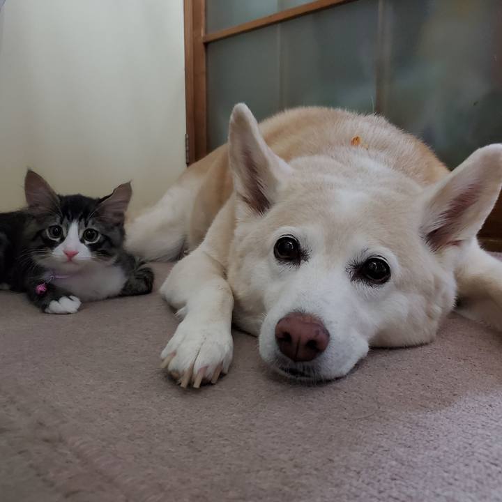 4ef18b00 06b5 4051 9543 9990d14cfdae 1628408605264